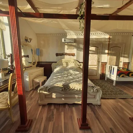 Проживание в семье Balta Maja